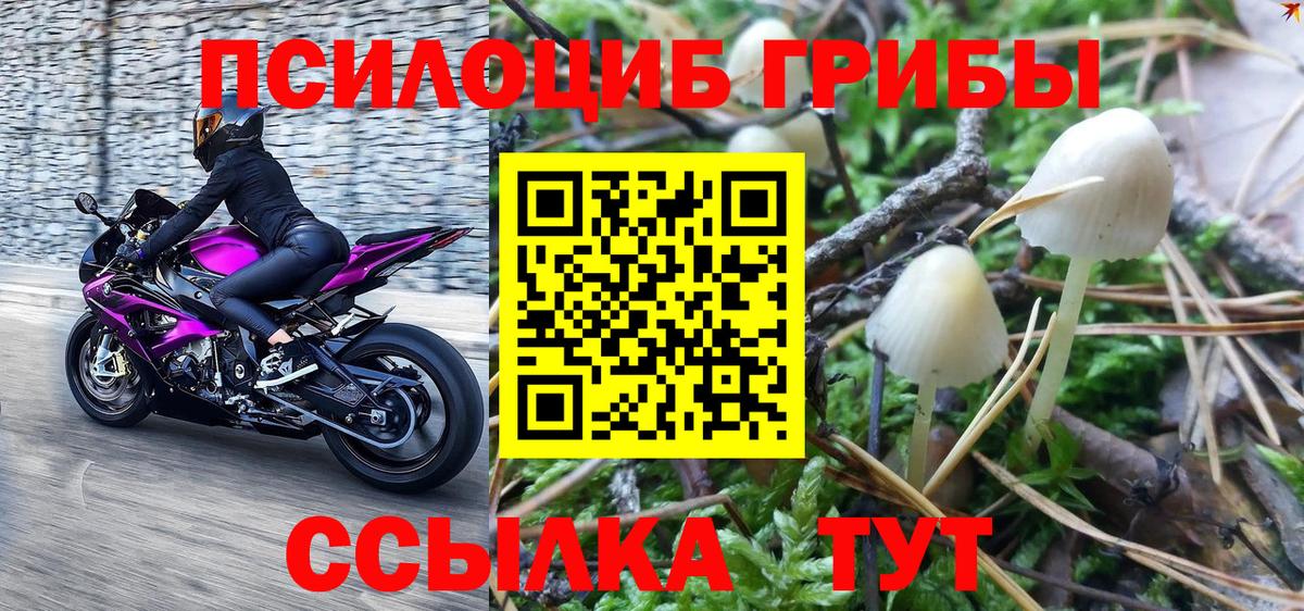 Cocaine Ханты-Мансийск
